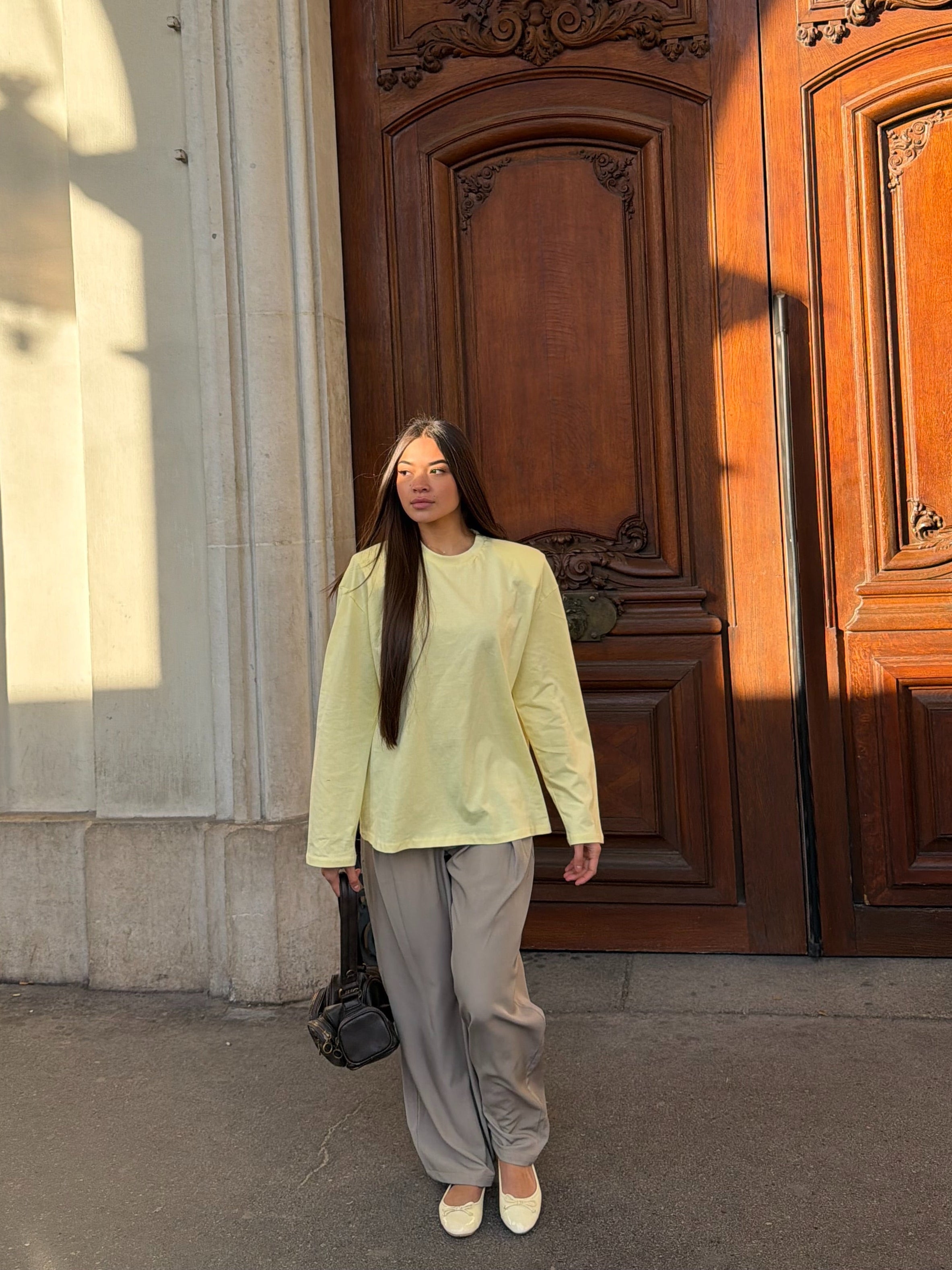 Pantalon à Pince Vinci Taupe