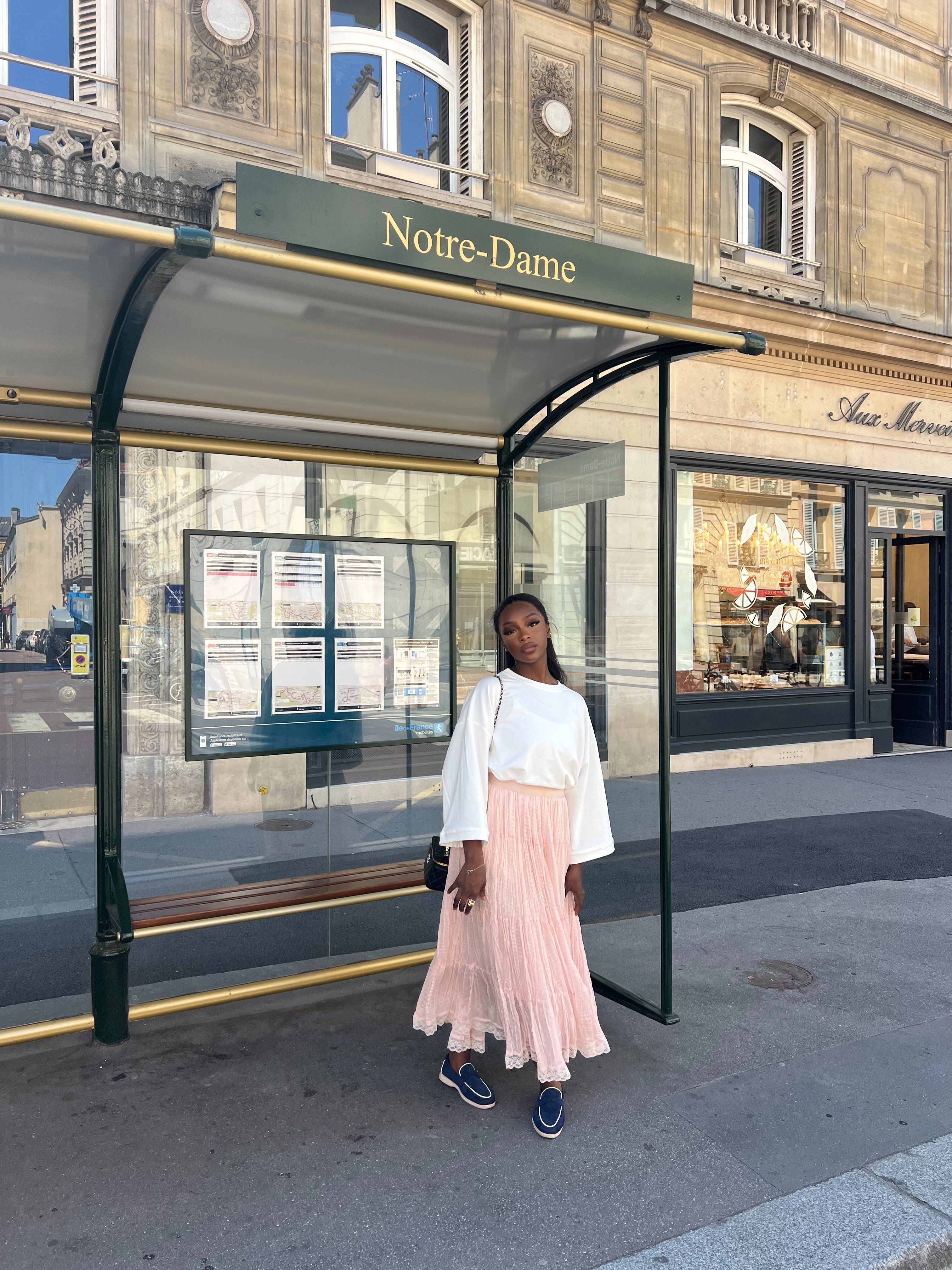 Jupe Laora  Rose plissé ( taille standard )